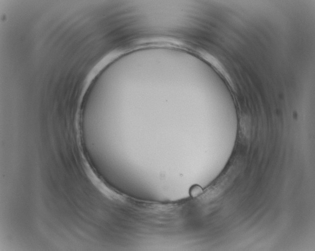 X0000067521482200604281621