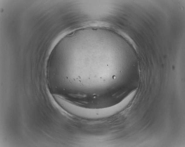 X0000067521483200604281621