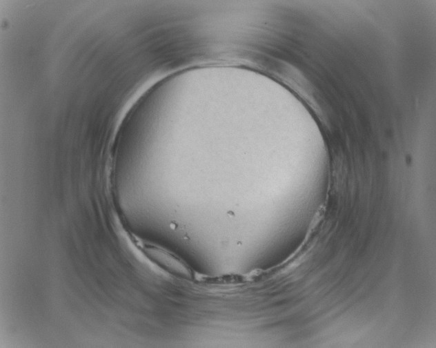 X0000067521484200604281621