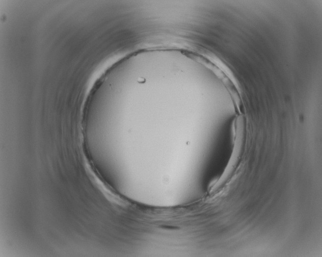 X0000067521485200604281621