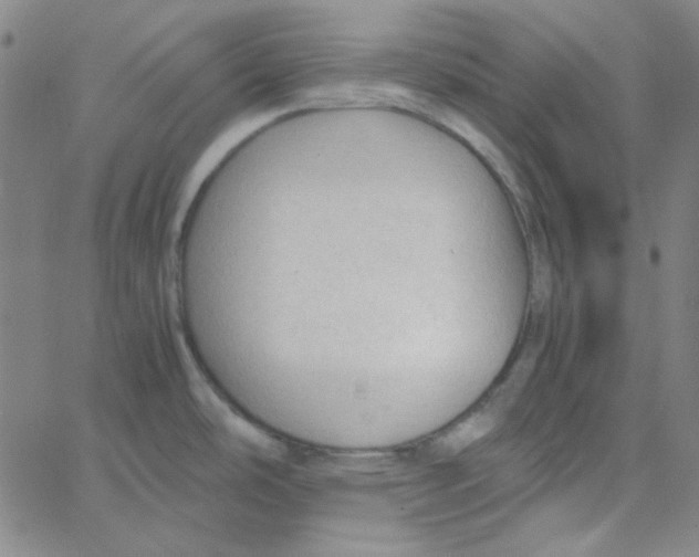 X0000067521486200604281621