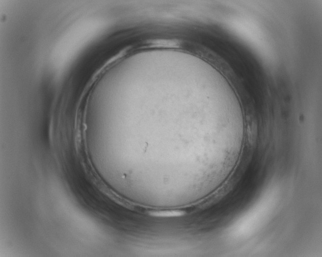 X0000067521487200604281621