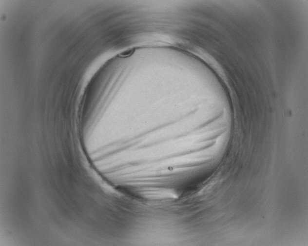 X0000067521488200604281621