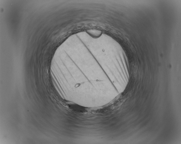 X0000067521489200604281620