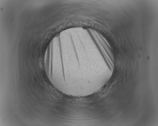 X0000067521490200604281620