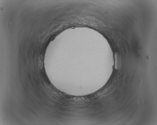 X0000067521491200604281620