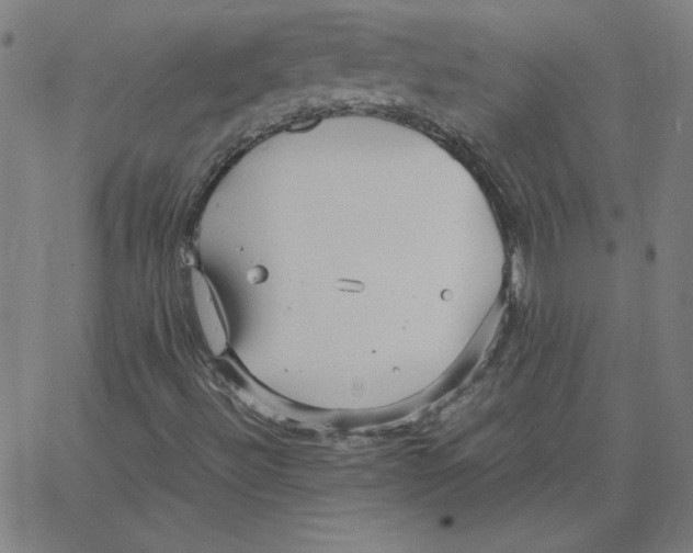 X0000067521492200604281620