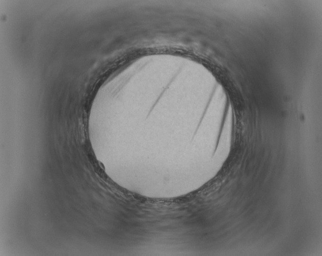 X0000067521493200604281620