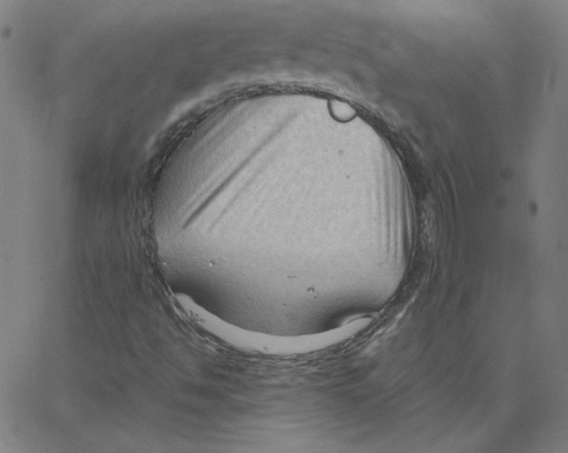 X0000067521494200604281620