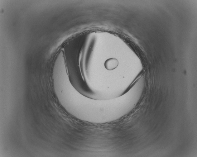 X0000067521496200604281620