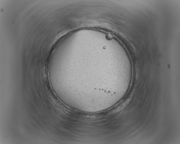 X0000067521497200604281620