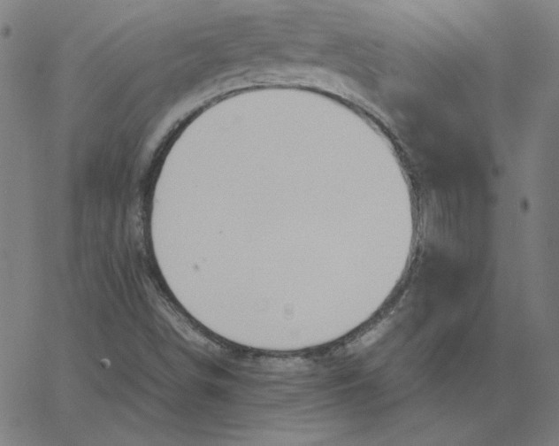 X0000067521498200604281620