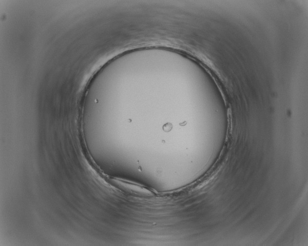 X0000067521500200604281620