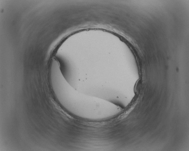 X0000067521502200604281620