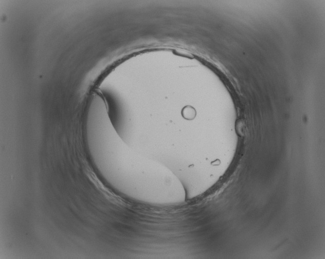 X0000067521503200604281620