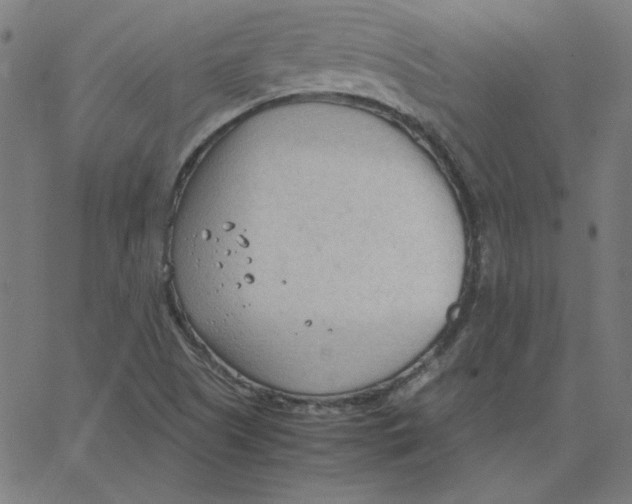 X0000067521505200604281620