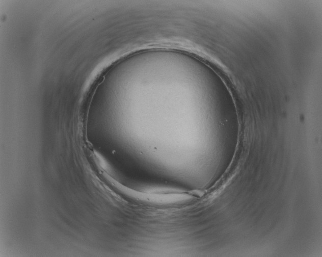 X0000067521506200604281620