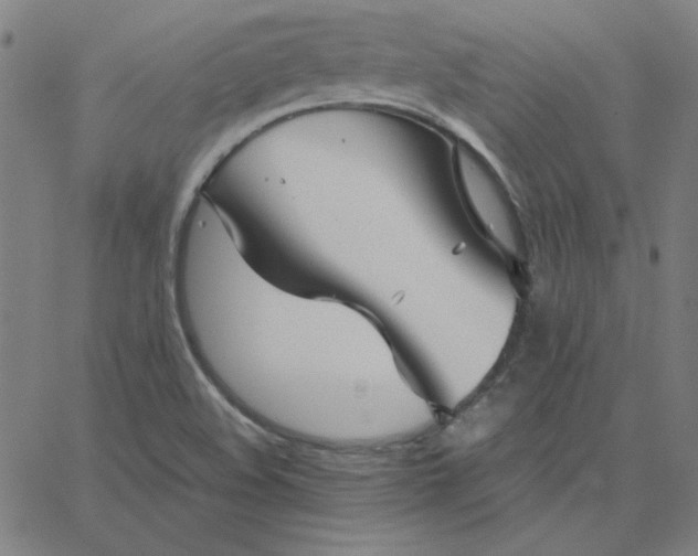 X0000067521508200604281620