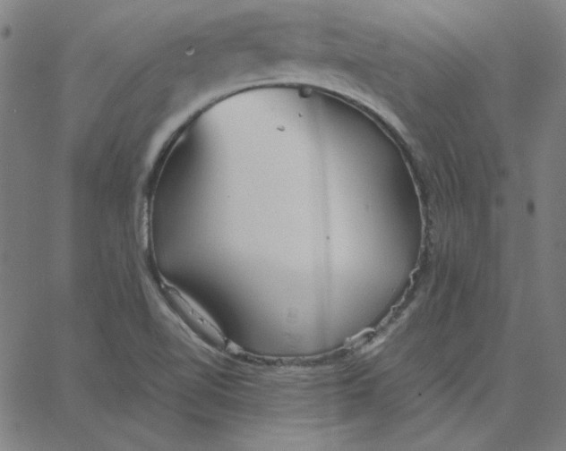 X0000067521510200604281621