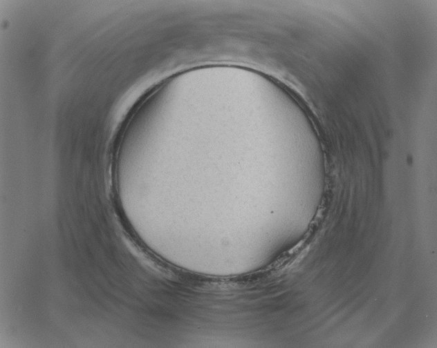 X0000067521511200604281621