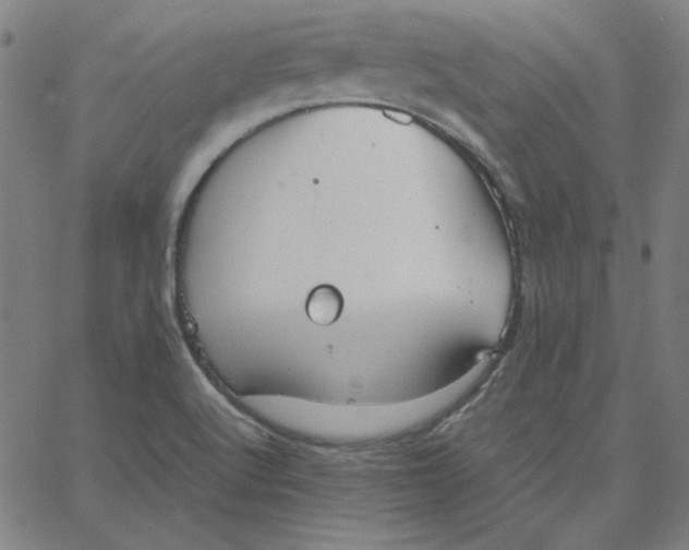 X0000067521512200604281621