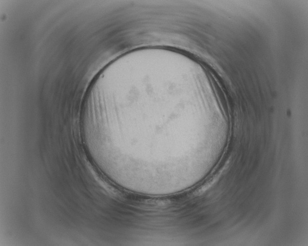 X0000067521513200604281621