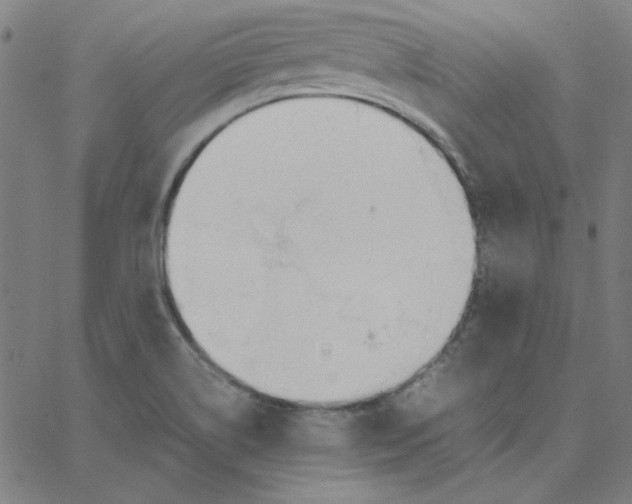 X0000067521514200604281621