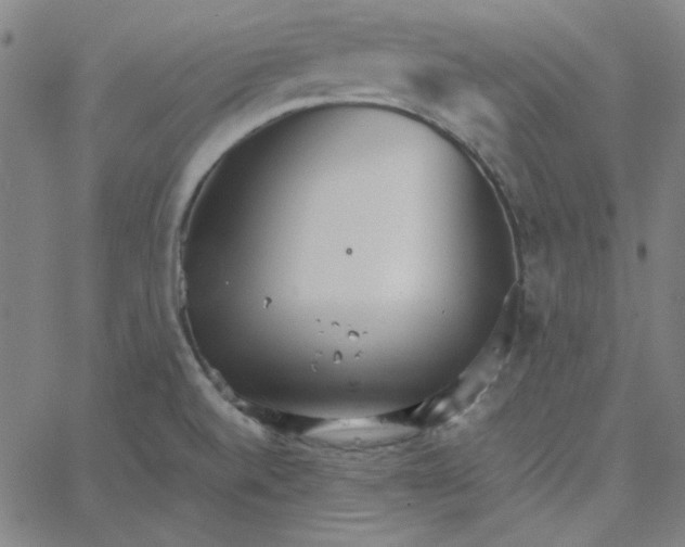 X0000067521520200604281621