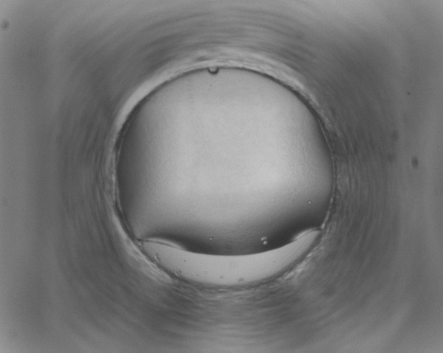 X0000067521522200604281621