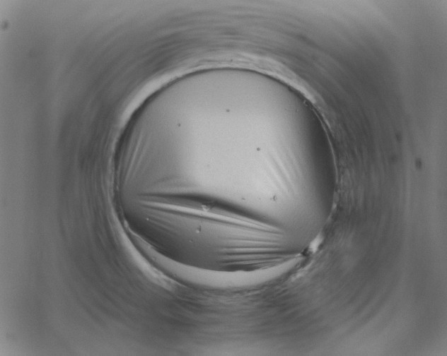 X0000067521523200604281621