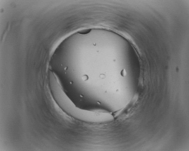 X0000067521524200604281621