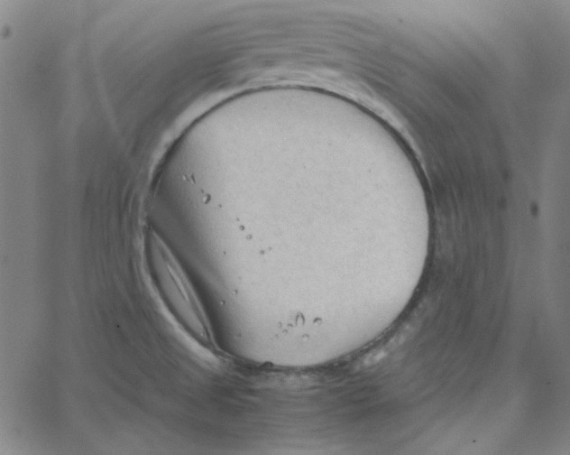 X0000067521525200604281621