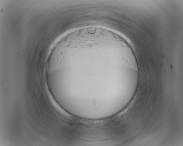 X0000067521526200604281621