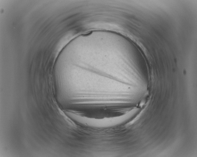 X0000067521529200604281621