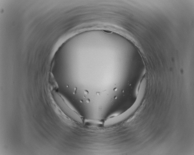 X0000067521530200604281621