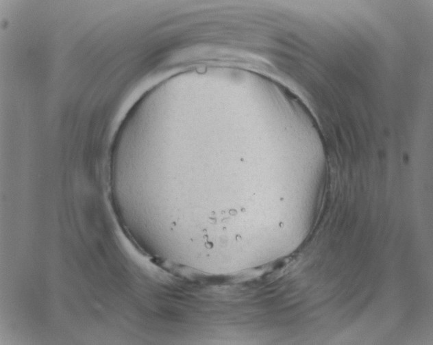 X0000067521531200604281621