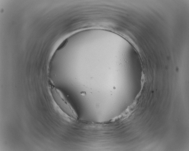 X0000067521532200604281621