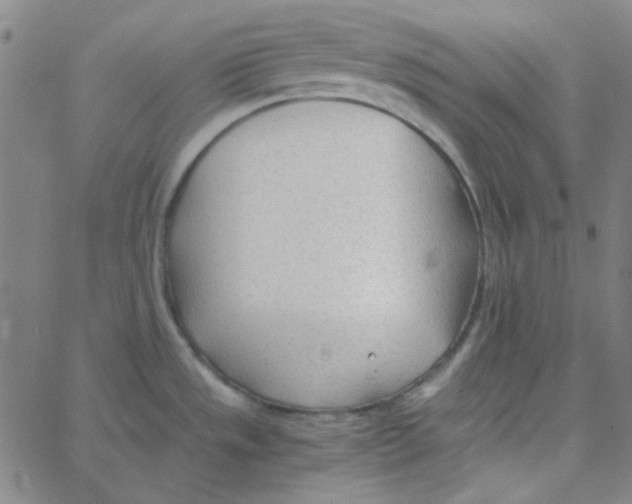 X0000067521533200604281621