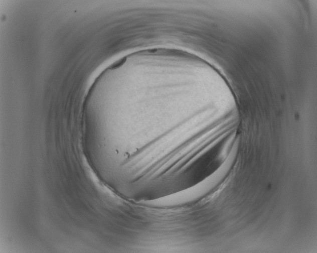 X0000067521534200604281621