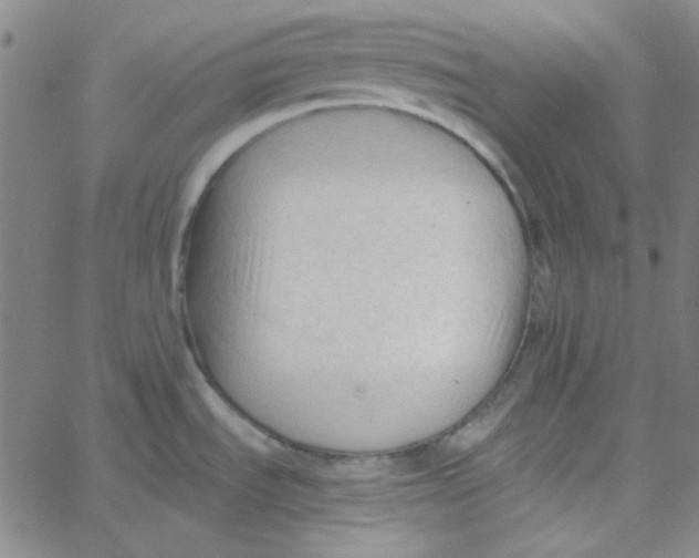 X0000067521535200604281621