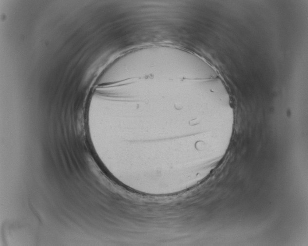 X0000067520002200605051906