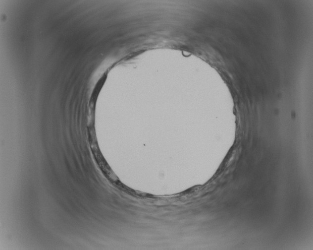 X0000067520003200605051906