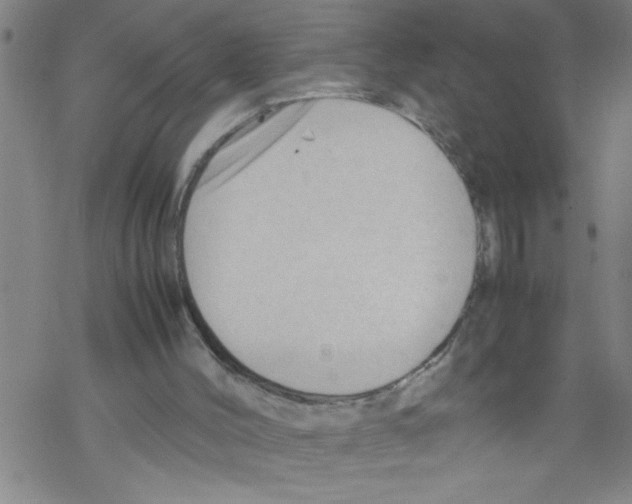 X0000067520004200605051906