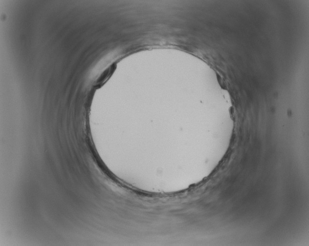 X0000067520005200605051906