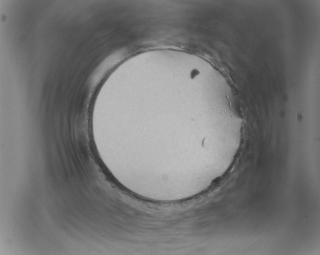 X0000067520006200605051906