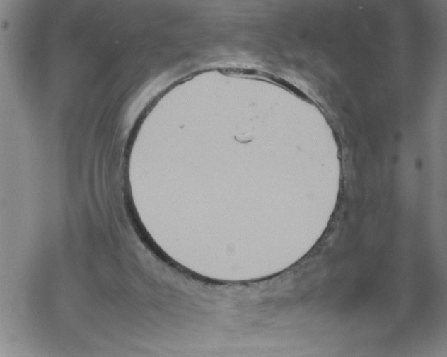 X0000067520007200605051906