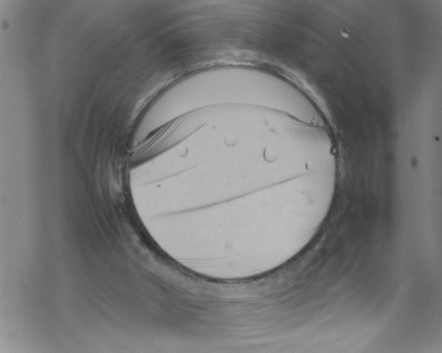 X0000067520010200605051906