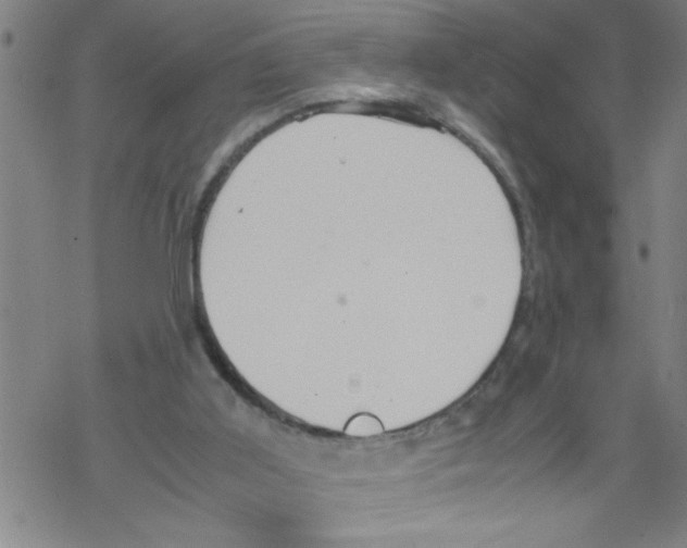 X0000067520011200605051906