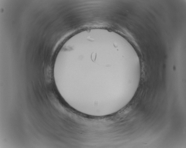 X0000067520012200605051906