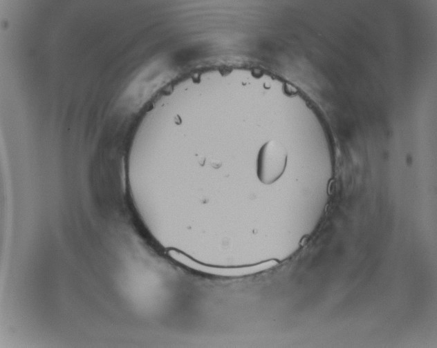 X0000067520013200605051906